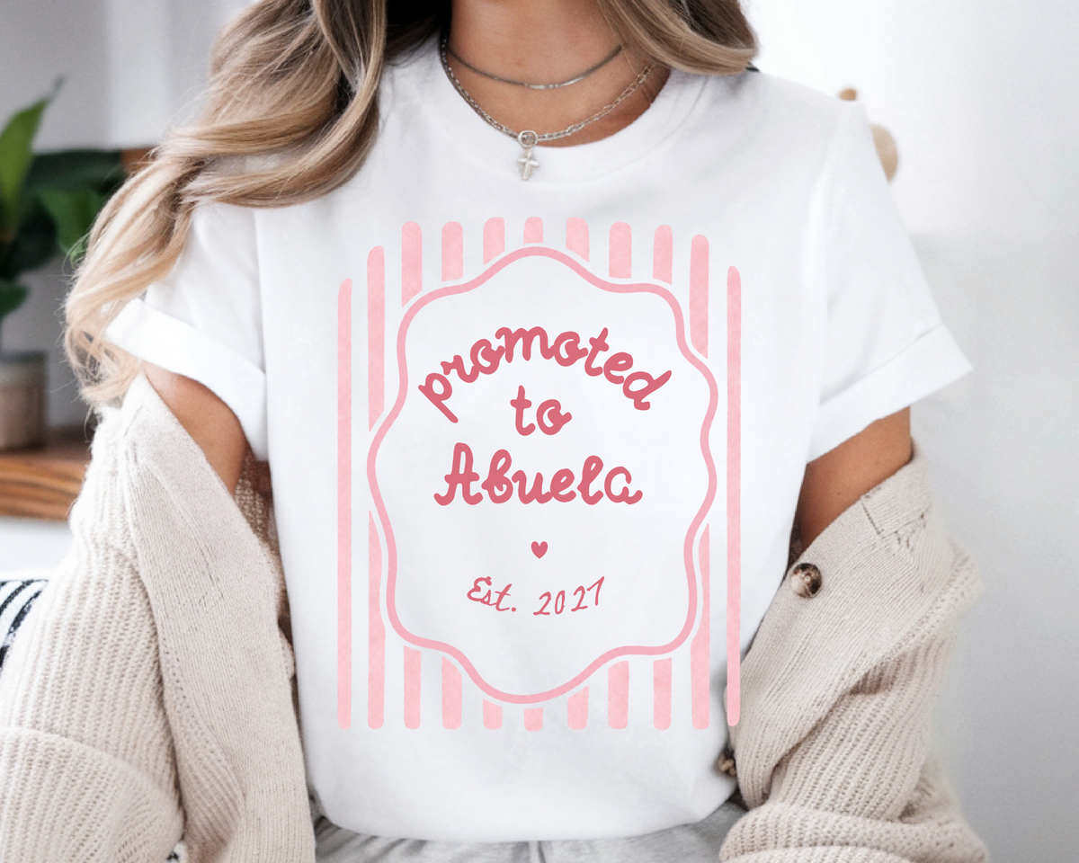 Promoted to Big Brother Pregnancy Announcement Shirt | Matching Shirts For Family